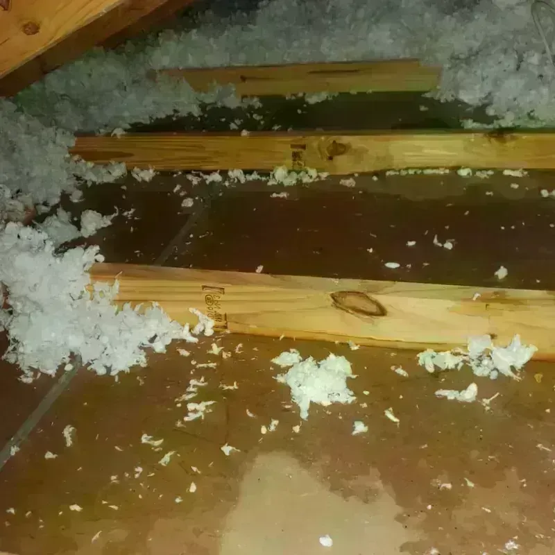 Attic Water Damage in Pilot Rock, OR