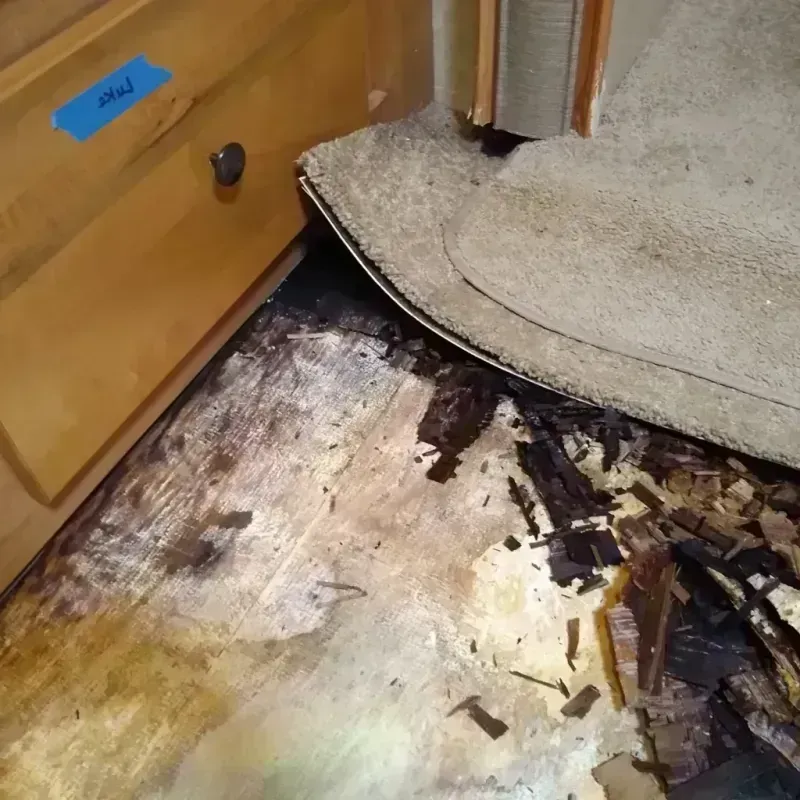 Best Wood Floor Water Damage Service in Pilot Rock, OR